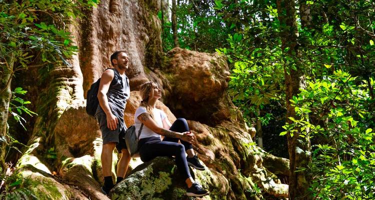 Dos excursionistas descansan en rocas cubiertas de musgo bajo los árboles imponentes de la selva tropical en luz moteada.