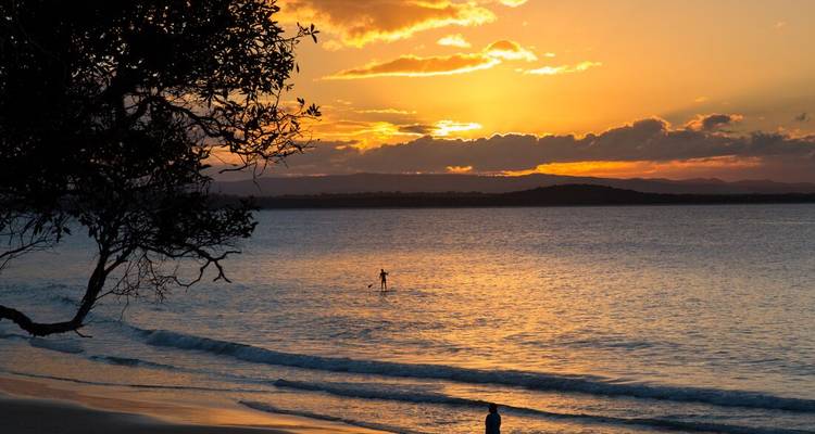 Golden sunset over calm ocean with silhouettes of paddle boarder and shoreline trees