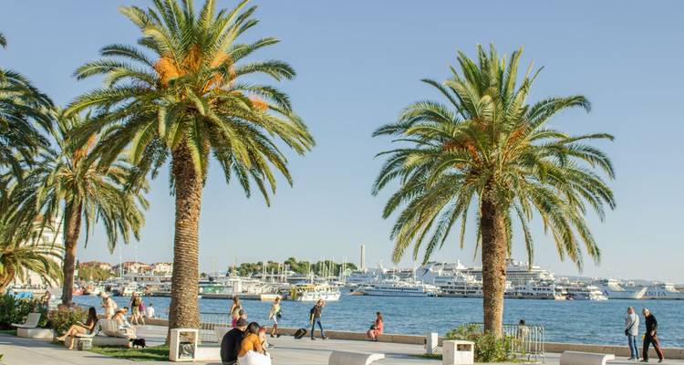 Palm-lined seaside promenade in Split with yachts and relaxed visitors.
