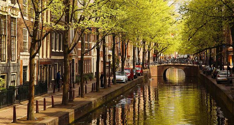Tree-lined canal with historic brick houses reflecting in calm water on a spring day