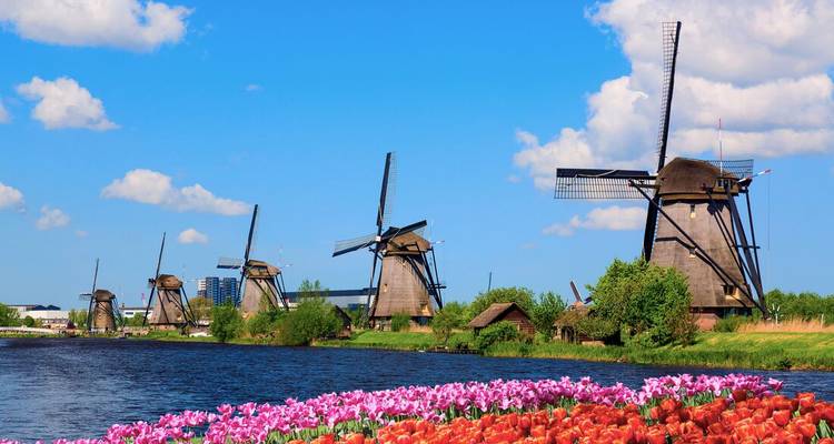 Rangée de moulins à vent emblématiques néerlandais au bord du canal avec un champ de tulipes en fleur aux couleurs éclatantes