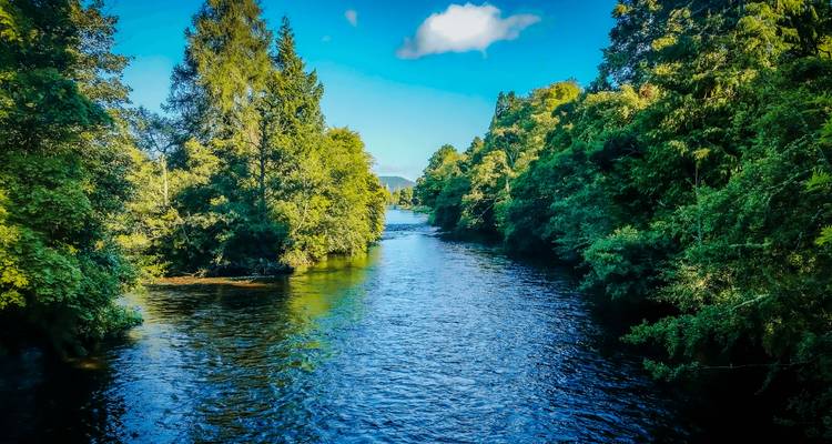Calm blue river flowing between dense green woodlands on a bright summer day.