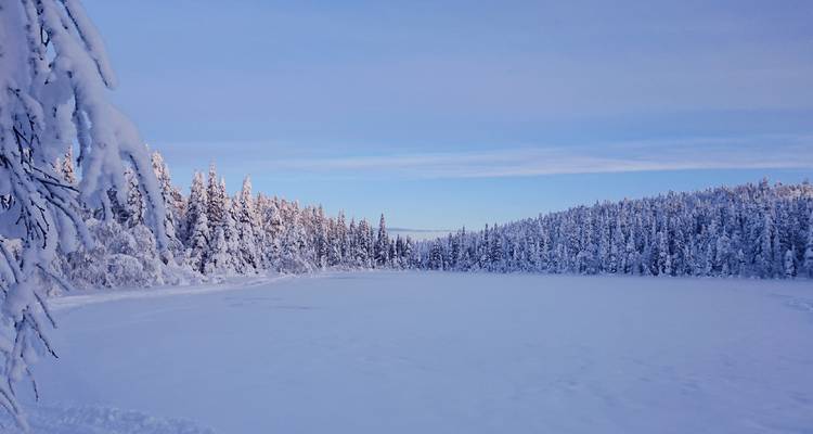 Des sapins couverts de neige entourent un lac gelé sous un ciel bleu clair avec une douce lumière matinale.