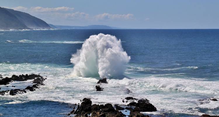 Powerful ocean wave crashing high into the air against a rocky shoreline.