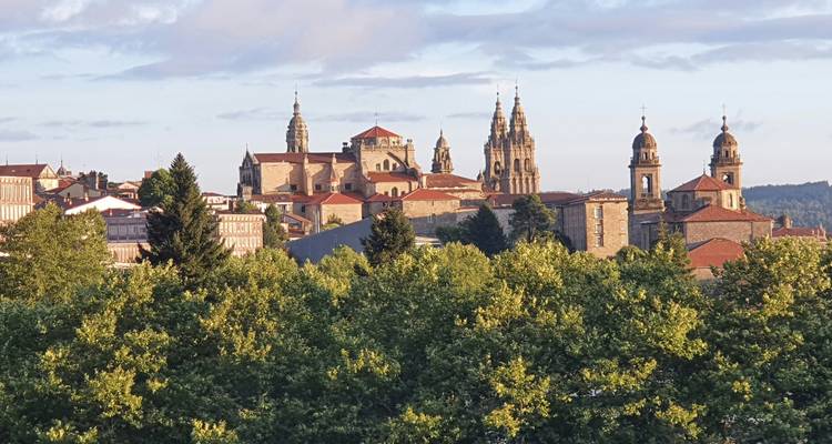 Skyline view of Santiago de Compostela with cathedral spires rising above trees