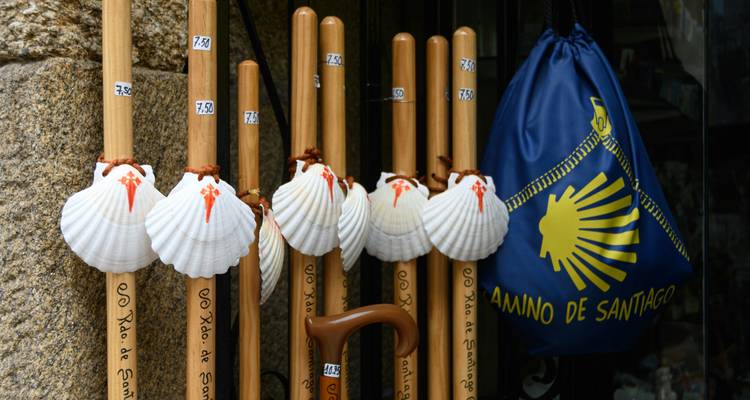 Camino de Santiago walking sticks adorned with white scallop shells outside a shop