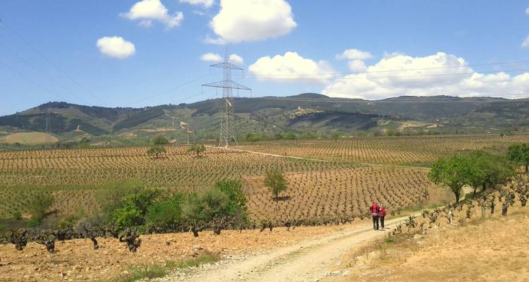 Two backpackers walking a dirt trail through rolling vineyards under blue sky