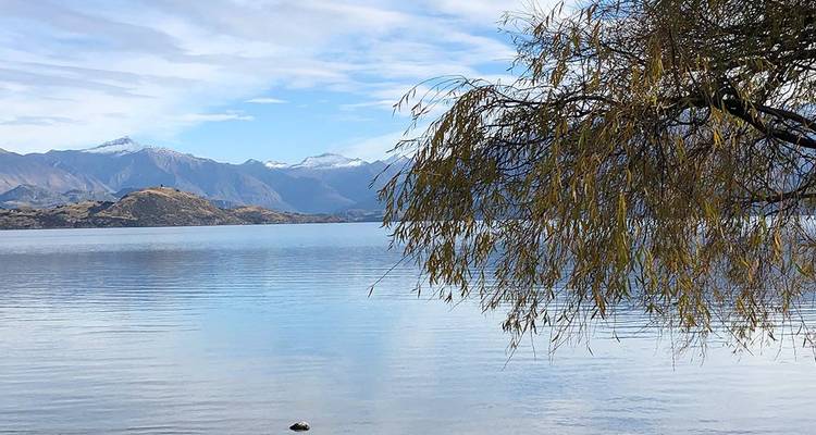 Un lac immobile encadré par des montagnes lointaines, avec une branche d'arbre feuillue au premier plan.