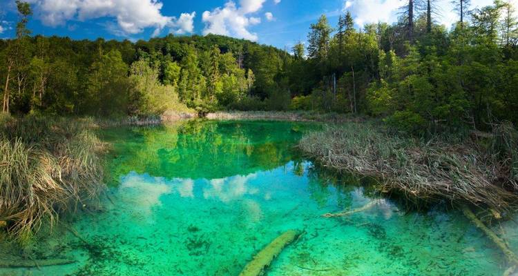 Crystal-clear turquoise woodland pond reflecting sky and surrounding forest in Plitvice.