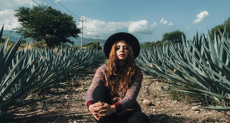 Mujer joven con sombrero sentada entre filas de plantas de agave bajo un cielo azul
