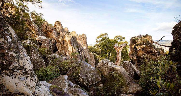 Rugged rock formations and eucalyptus trees create a wild, rocky landscape under a bright sky.