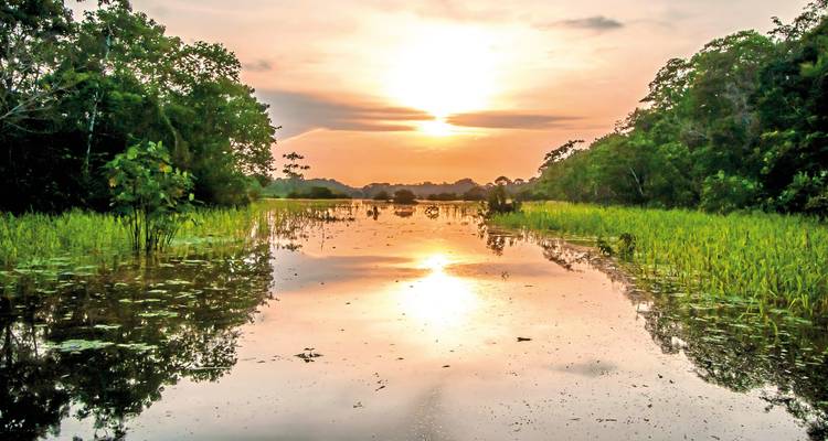 Ruhiger Sonnenuntergang über einem Amazonas-Seitenarm spiegelt orangefarbenes Licht auf ruhigem Wasser wider, das von üppigem Regenwald begrenzt wird.