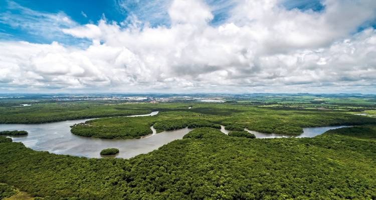 Luftaufnahme eines üppigen grünen Regenwaldes mit gewundenen Flüssen unter teilweise bewölktem Himmel.