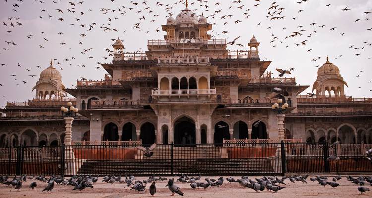 Birds flock above the ornate Albert Hall Museum surrounded by pigeons in Jaipur.