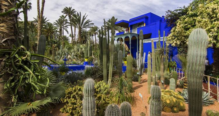 Le luxuriant jardin de cactus entourant le bâtiment d'un bleu cobalt éclatant du Jardin Majorelle