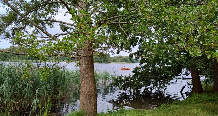 Serene lake framed by leafy trees with a lone orange kayak floating in the distance.