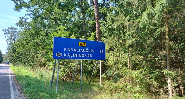 Blue roadside sign showing distance to Kaliningrad surrounded by forest trees.