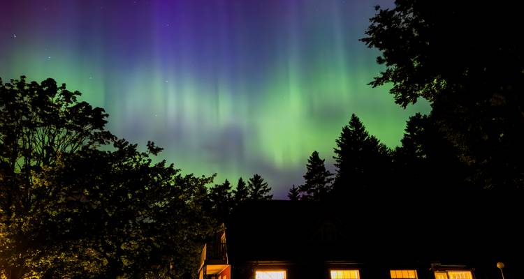 Des aurores boréales d'un vert éclatant et d'un violet lumineux illuminant le ciel nocturne au-dessus de la silhouette d'une cabane et des arbres.