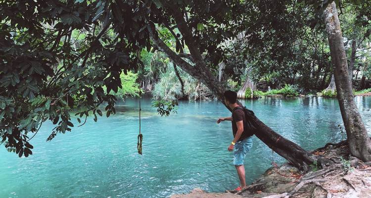 Traveller standing under a leafy tree beside a crystal-clear natural pool.