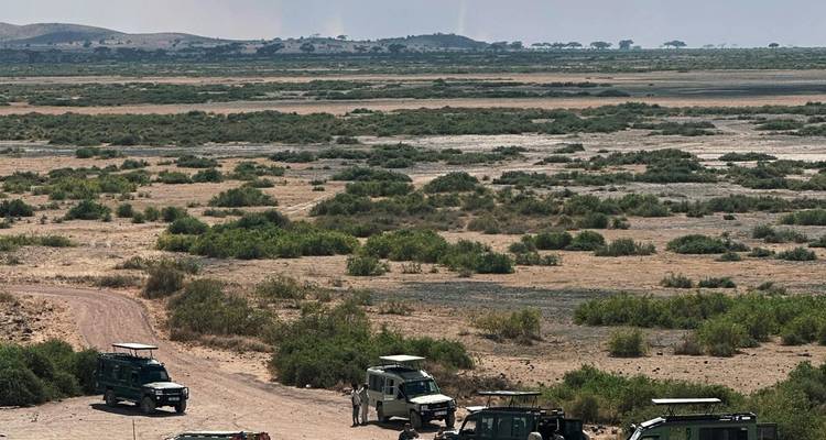 Several safari jeeps parked on a dusty track overlooking a vast arid plain.