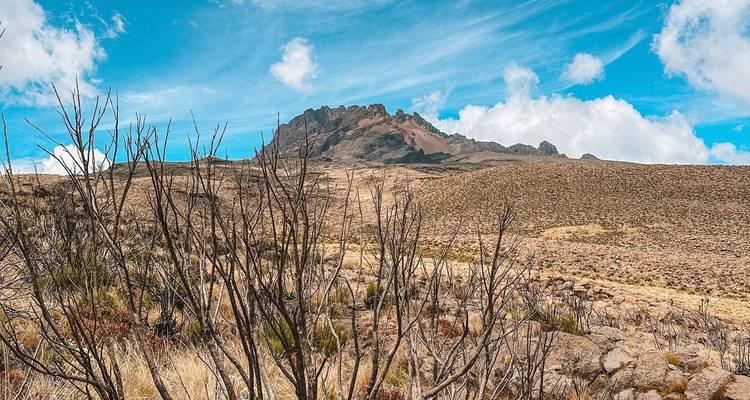Arid high-altitude plain with dry bushes in the foreground and a rugged mountain peak under blue sky.