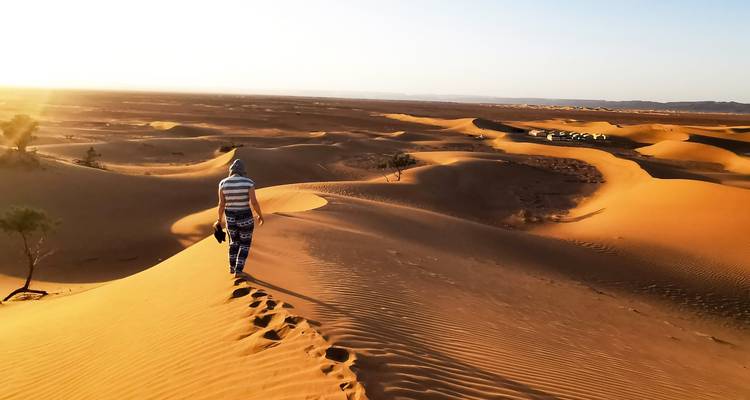 Traveller walks along a dune ridge during golden light, casting long shadows across the desert.