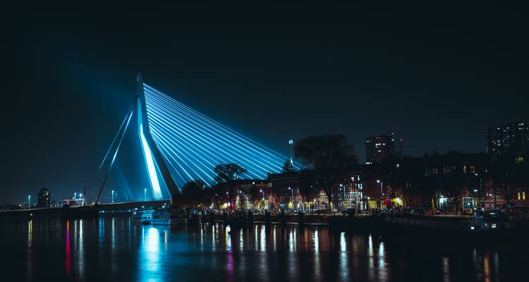 Le pont Érasme brille de lumières bleues au-dessus des eaux calmes de Rotterdam la nuit.