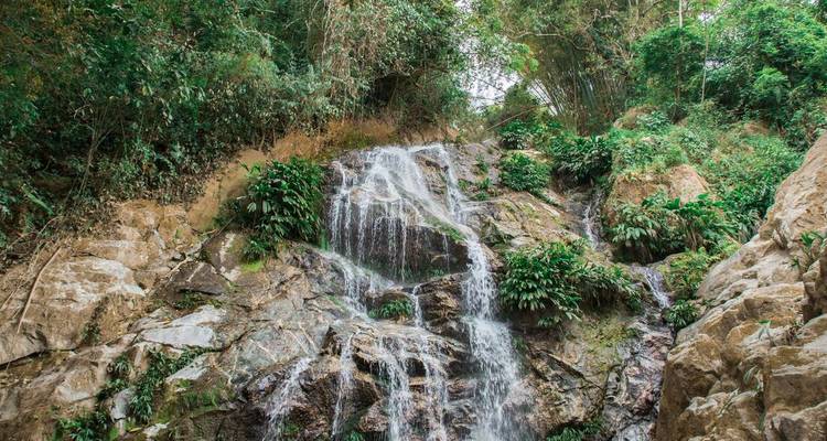 Kleiner Kaskadenwasserfall, der über Dschungelsteine fliesst und von üppiger grüner Vegetation umgeben ist.