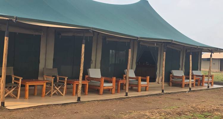 Row of canvas safari tents with wooden furniture set on a raised deck in grassy plains.