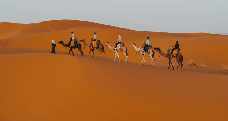 A caravan of camels with riders crosses smooth orange dunes under soft evening light.