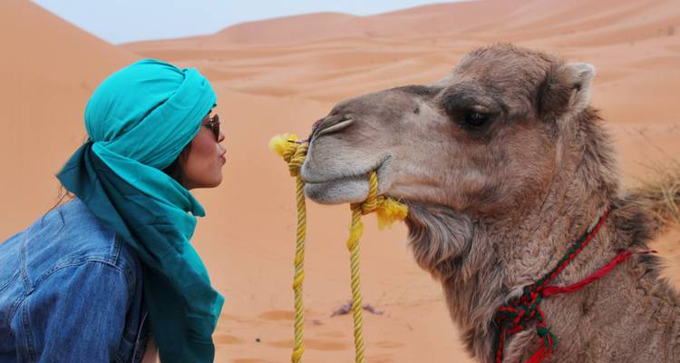 A traveller playfully leans in to kiss a camel in the Saharan dunes.