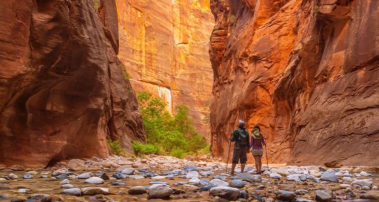 Zwei Wanderer waten durch den schmalen Canyonfluss, umgeben von hohen orangefarbenen Wänden in Zion.