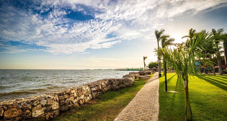 Lakeside promenade with palm trees and a bright sky over Lake Victoria.