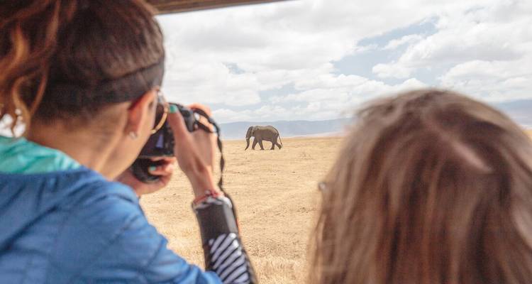 Two travellers photograph a lone elephant on open savanna from the window of a safari vehicle.