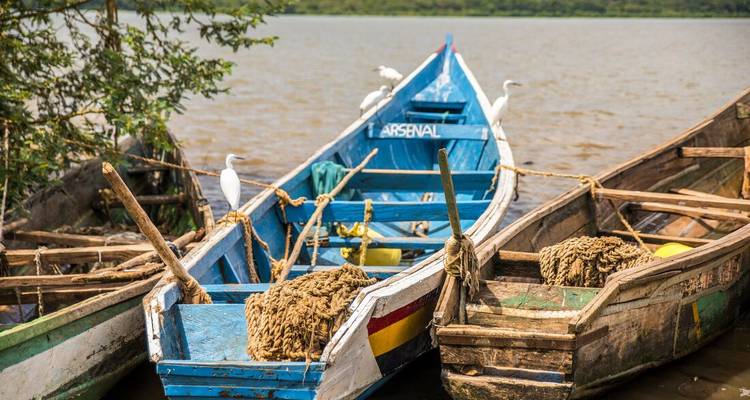 Wooden fishing boats tied together on a lake with white egrets perched nearby.
