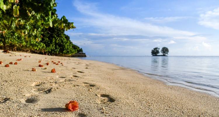 Footprints and scattered sea almonds lead along a tranquil sandy beach toward a tiny offshore isle