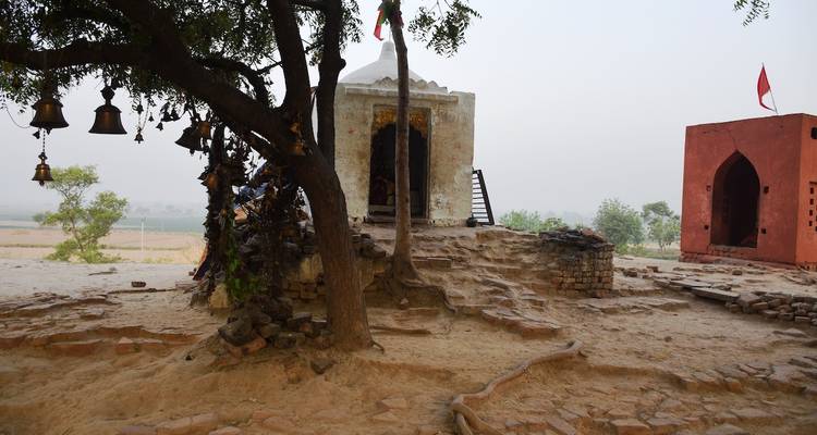 Un petit sanctuaire rural ombragé par un arbre aux branches étalées se dresse sur un terrain sablonneux à degrés dans une lumière voilée.