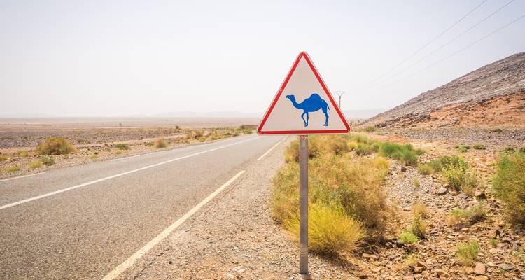 Un panneau de signalisation triangulaire avertit de la présence de chameaux le long d'une route déserte isolée.