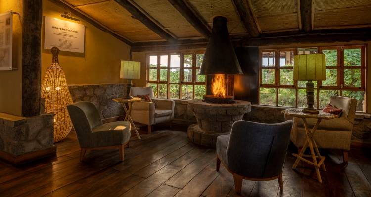 Cozy lodge lounge with wooden floors, armchairs and a central fireplace glowing warmly