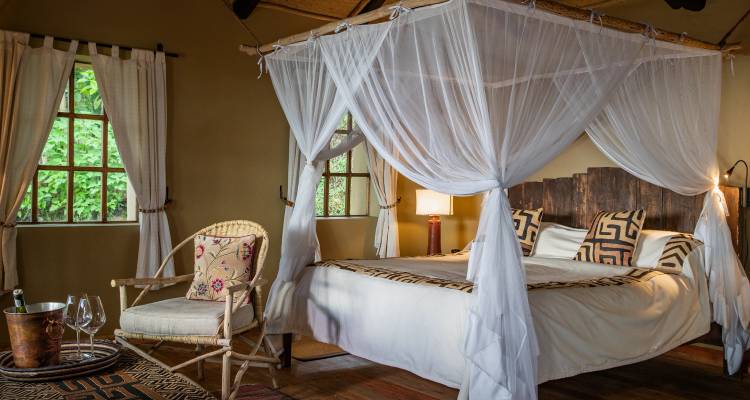 Elegant safari-style bedroom with canopy netting, patterned textiles and natural light from large windows