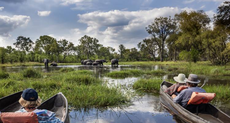 Los viajeros reman canoas excavadas a través de tranquilos canales del delta mientras los elefantes pastan adelante.