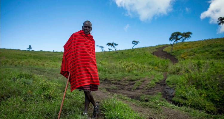 Maasai herder wrapped in a red shuka stands on a grassy hillside beneath vivid blue sky