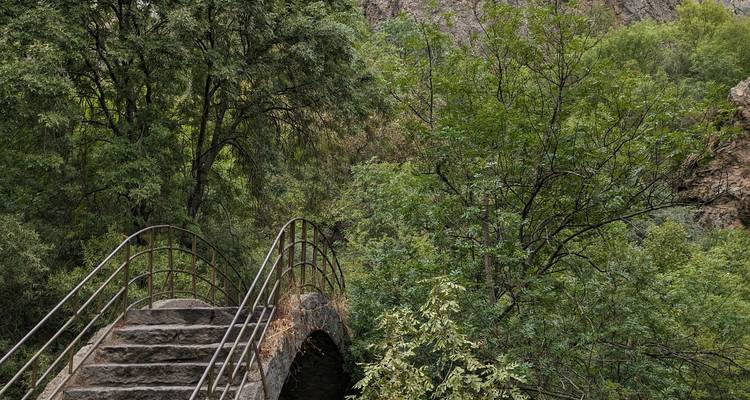 Small arched stone footbridge leading into dense green forest within a rocky gorge.