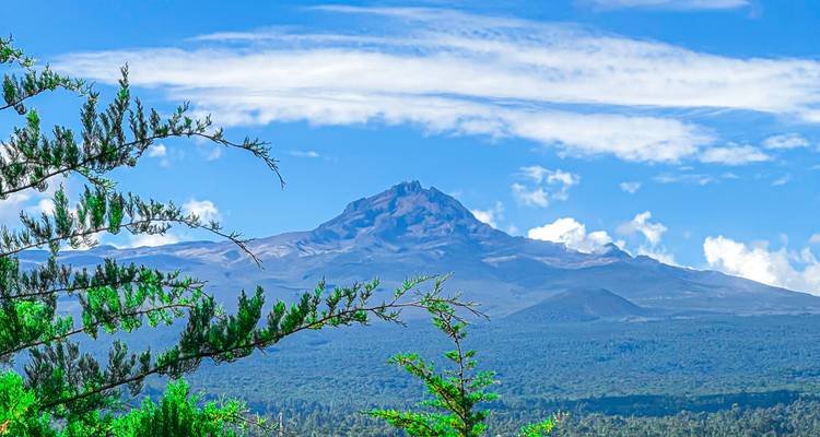 Verafgelegen vulkanische piek omlijst door groene bostak tegen een heldere hemel in Tanzania.
