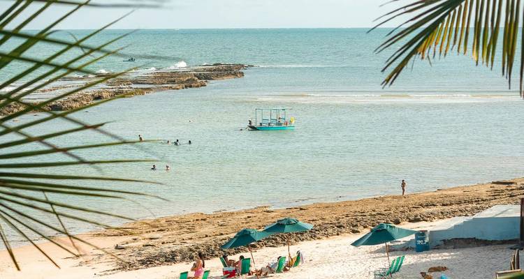 Beschaduwde uitzicht door palmbladen van een strand met stoelen, parasols en zwemmers plus een rondvaartboot.