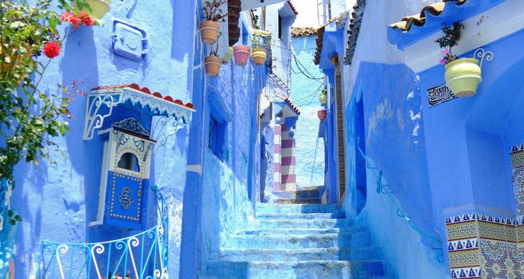 Smalle trappensteeg in Chefchaouen geschilderd in levendige blauwe tinten met hangpotten.