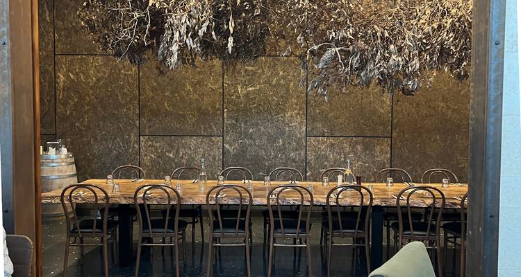 Table à manger longue et élégante en bois avec des chaises en bois courbé foncé sous une installation suspendue spectaculaire de feuillage séché dans une salle privée de cave à vin.