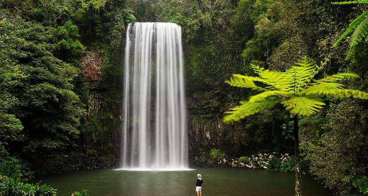 Una cascada de cortina alta se desploma en una piscina verde en una selva tropical densa con un visitante solitario mirando hacia arriba.