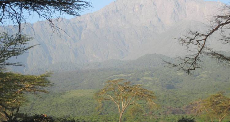 Green woodland and open grassland beneath a towering grey mountain cliff on a bright clear day.