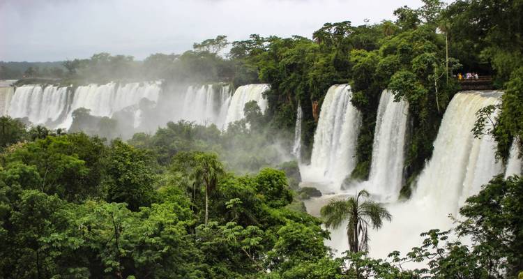 De puissants rideaux de chutes d'Iguazu se précipitent à travers une végétation de jungle luxuriante, remplissant l'air de brume.